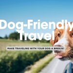 Top 5 Tips When Traveling with Dogs