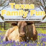 Top 10 Texas Family Vacations: Unforgettable Adventures for All Ages