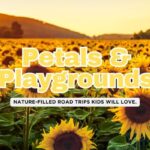 Chasing the Bloom: 7 Family-Friendly Wildflower Road Trips for May 2025