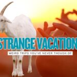 20 of the Strangest Vacation Ideas in the USA