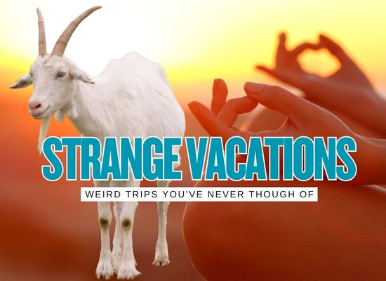 20 of the Strangest Vacation Ideas in the USA