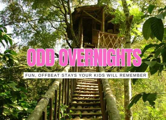 Sleep in Something Weird: 12 Unforgettable Experiences
