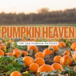 Pumpkin Heaven: The Top 30 Pumpkin Patches in the U.S.A for Families