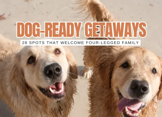 Pet Approved: 28 Dog-Friendly Vacations That Everyone Will Love