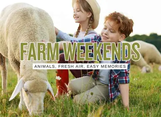 Farm and Animal Weekend Trips: 18 Kid-Approved Getaways That Feel Like a Reset