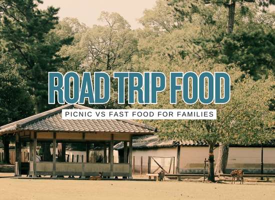 Family Road Trip Food: Picnic at Rest Areas or Fast Food?